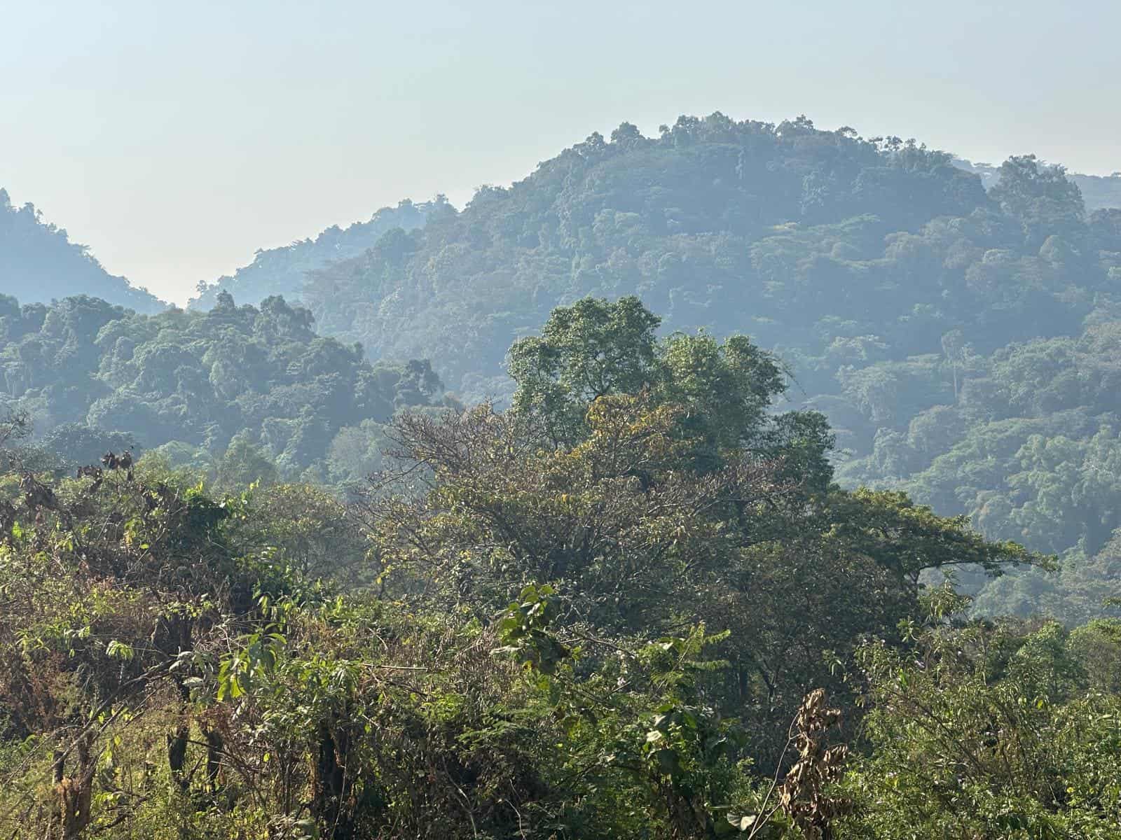 Partnering with Farmers